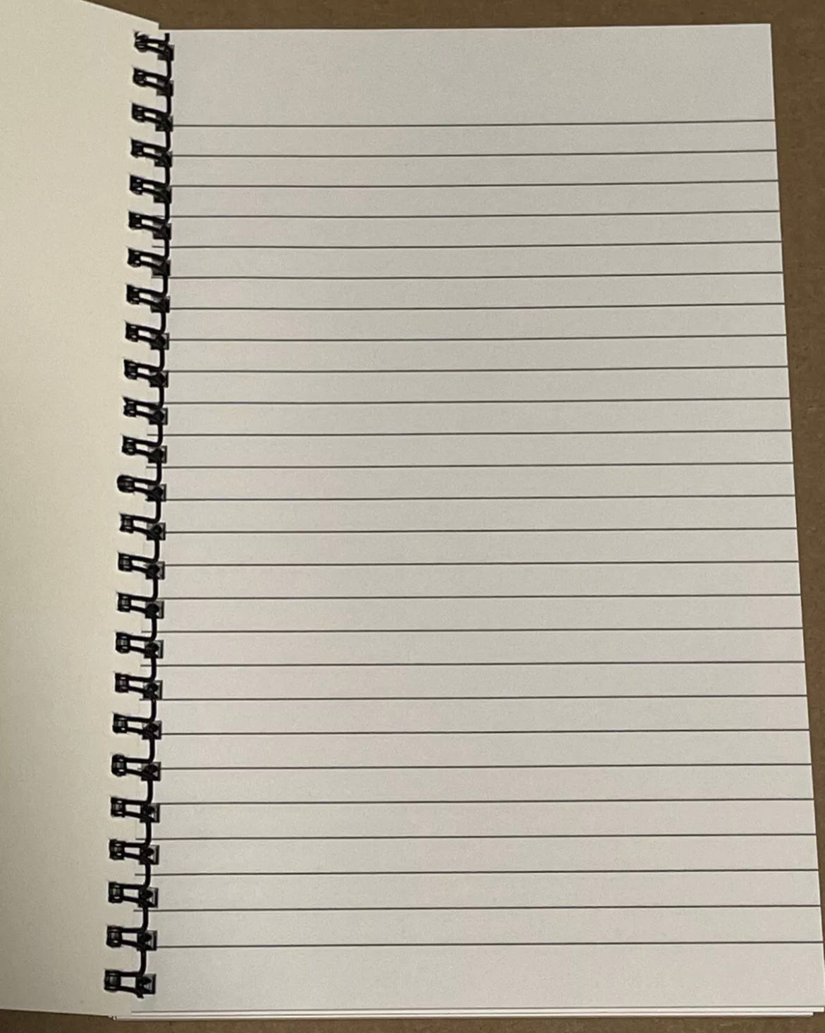 Cat lady escape spiral notebook