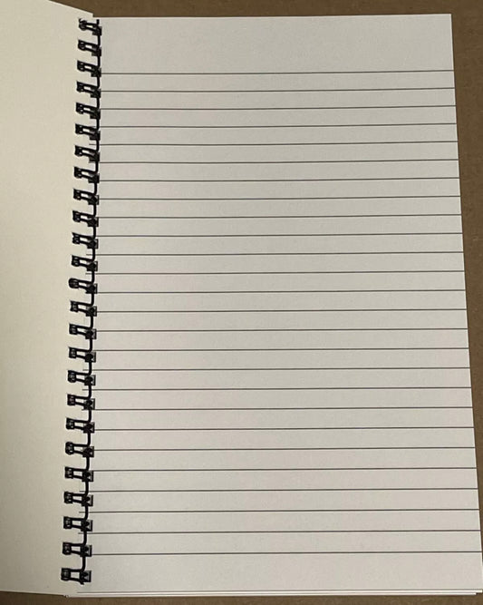 Cat lady escape spiral notebook