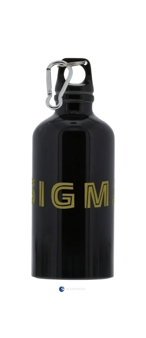17 oz. Sigma Black Shine Aluminum water bottle with Carabiner